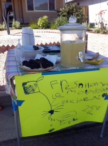 Fresh Homemade Lemonade and Cookies. 25 cents!